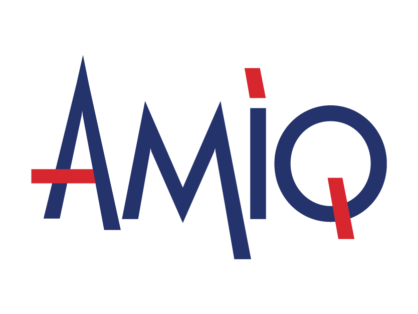 Logo AMIQ Consulting